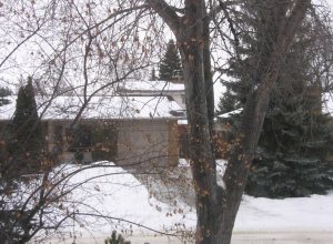 Across the street on this warm but gloomy day, the snow is melting on a neighbour's roof.